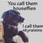 you-call-then-houseflies.jpg