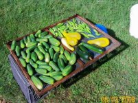 Washed Cucumbers(640 x 480).jpg