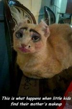 Kitty makeup01c759aa138c7745c59b92275b.jpg