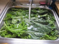 Greens in the sink.JPG