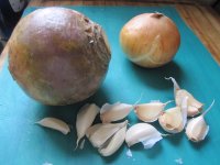 Turnip, onion, garlic.JPG