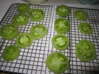 Green tomatoes, sliced and salted.JPG