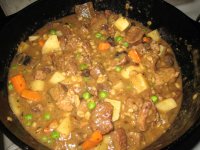 stew 10-11-09.jpg