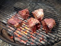 #Lamb Chops II.jpg