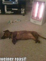 funny-dog-pictures-wiener-dog-relaxes-by-heater.jpg