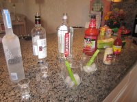 Vodka side-by-side-by-side Delray 2012.JPG