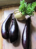 1 Ichiban eggplant and Globe basil.JPG