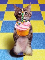 birthday_cupcake-WEB.jpg