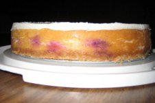 blackberrywithscotchcheesecakesideview.jpg