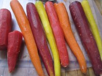 Colorful carrots 1, whole.JPG