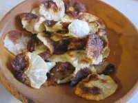 Radish chips in bowl.JPG