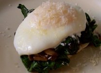 florentine benedict (1).jpg