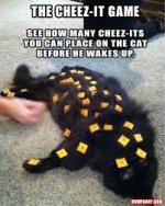 cheezit game.jpg