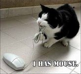 I has mouse.jpg