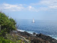 View from Marginal Way, June 2015.JPG