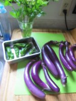 Eggplants 1.JPG