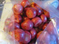 Crabapples 4, de-stemmed.JPG