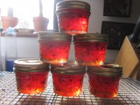 Crabapple and pepper jelly 7, jarred.JPG