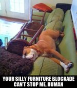 your-silly-furniture-blockade-cant-stop-me.jpg