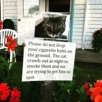 cat cigarette.jpg