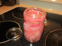 Pickled red onions.JPG
