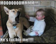 funny-dog-pictures-tuchin-me.jpg