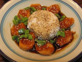 Orange Chicken 4-23-24.JPG