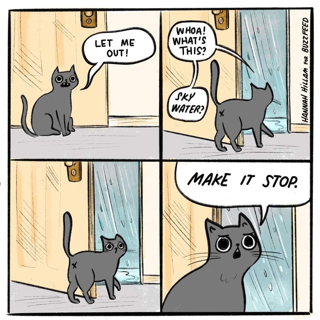 1000029849.jpg