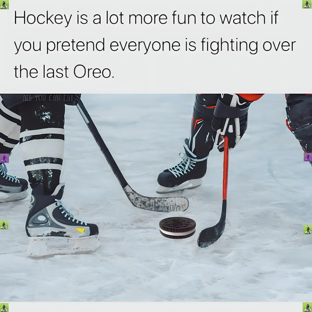 1000031541.jpg