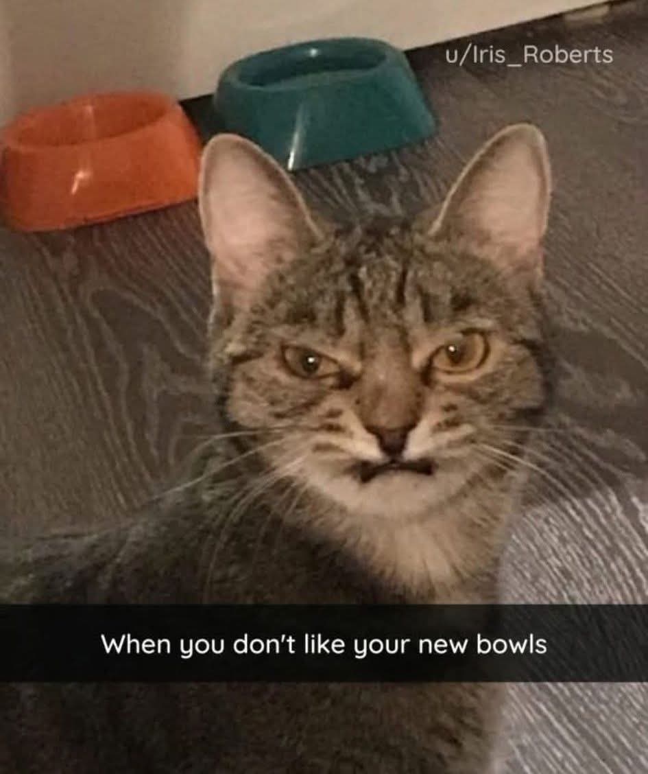 1000035822.jpg