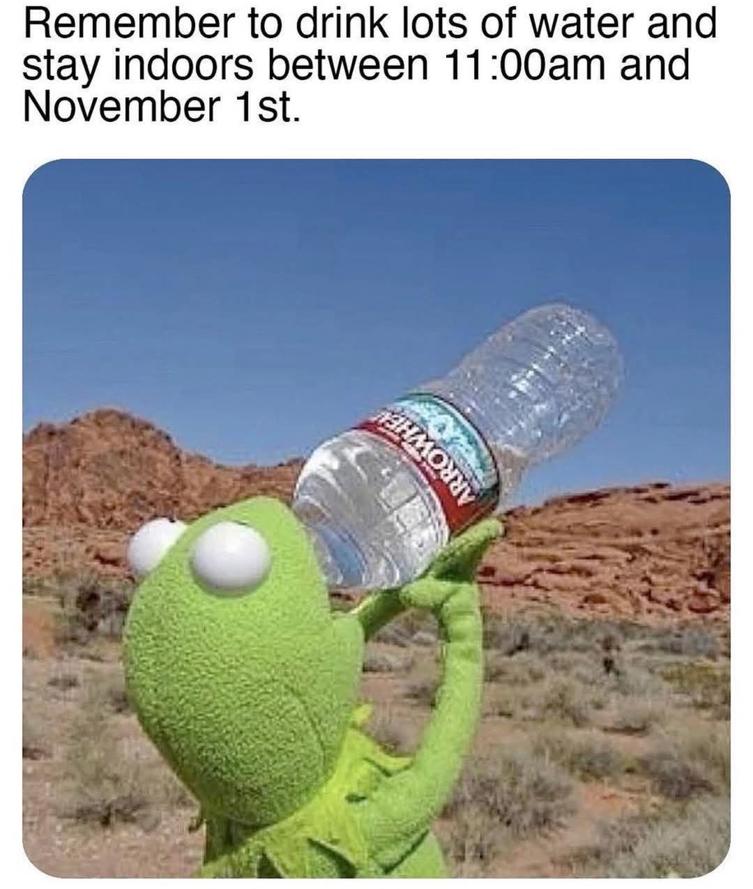 1000037655.jpg