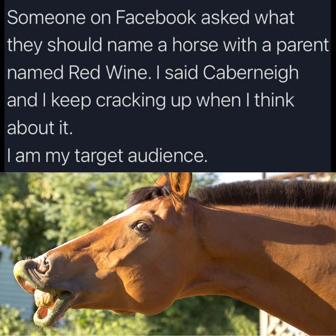 1000038090.jpg
