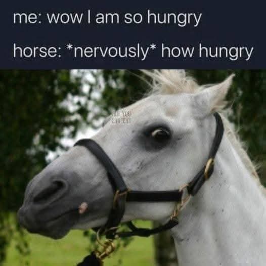 1000038320.jpg
