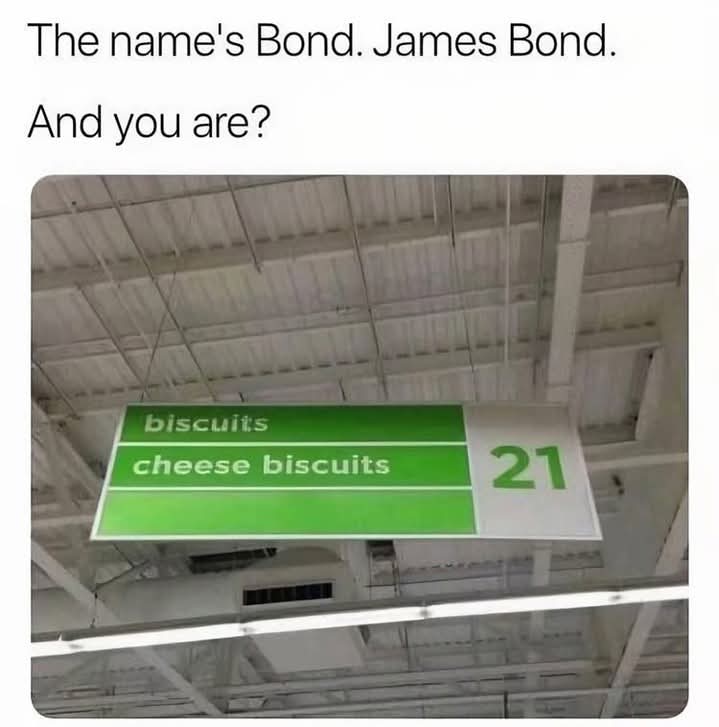 1000038337.jpg