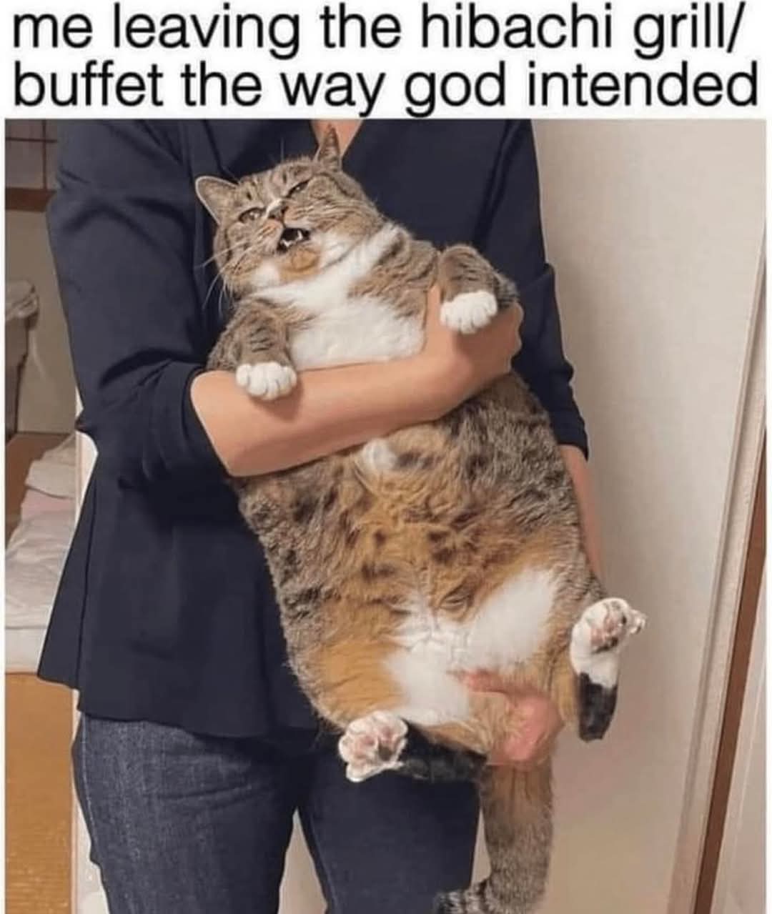 1000039238.jpg