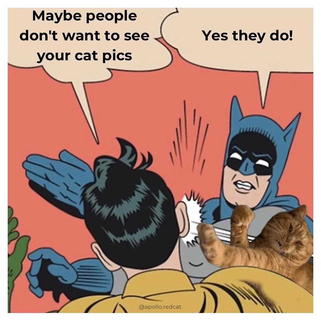 1000042635.jpg