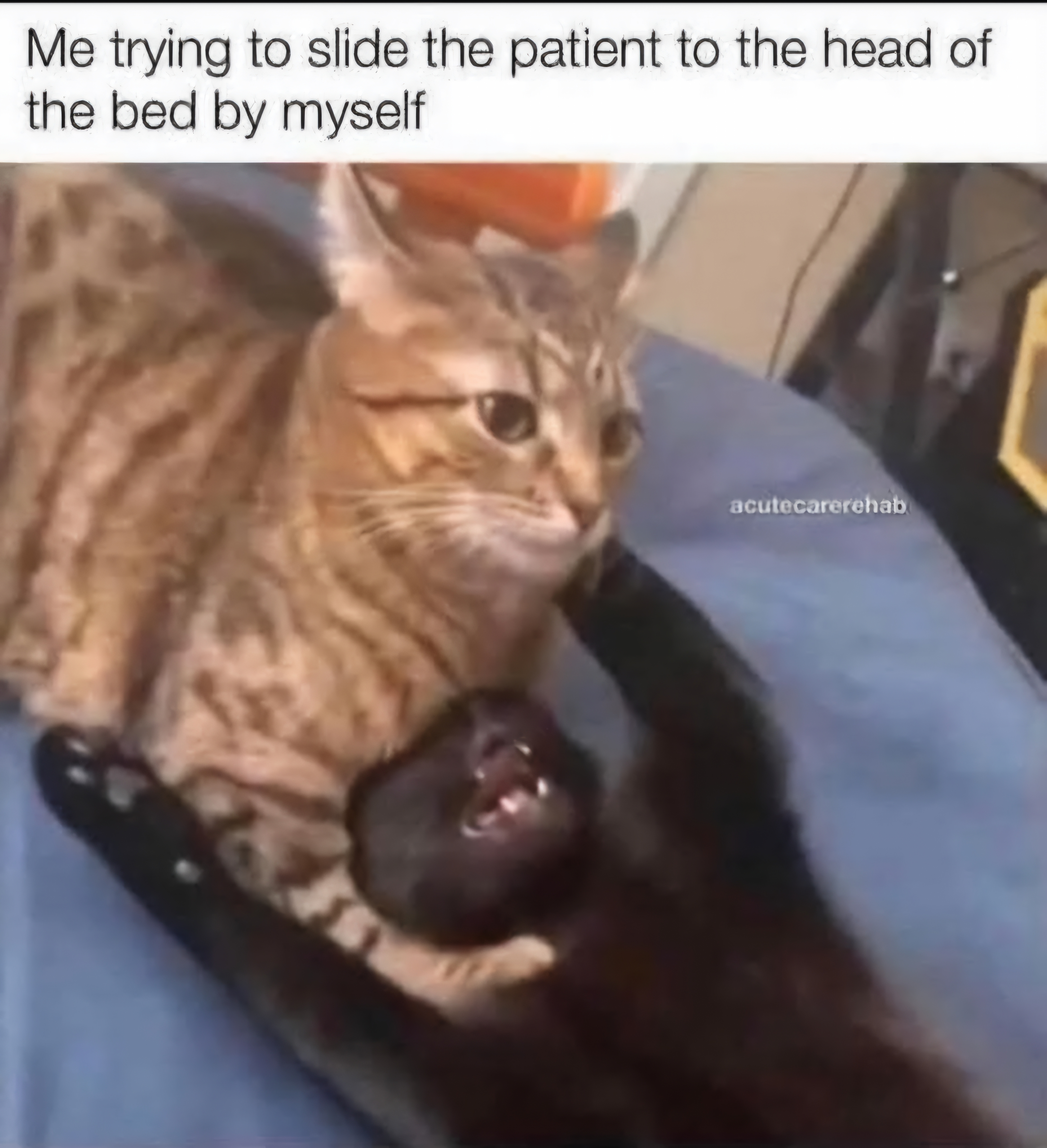 1000042786.jpg
