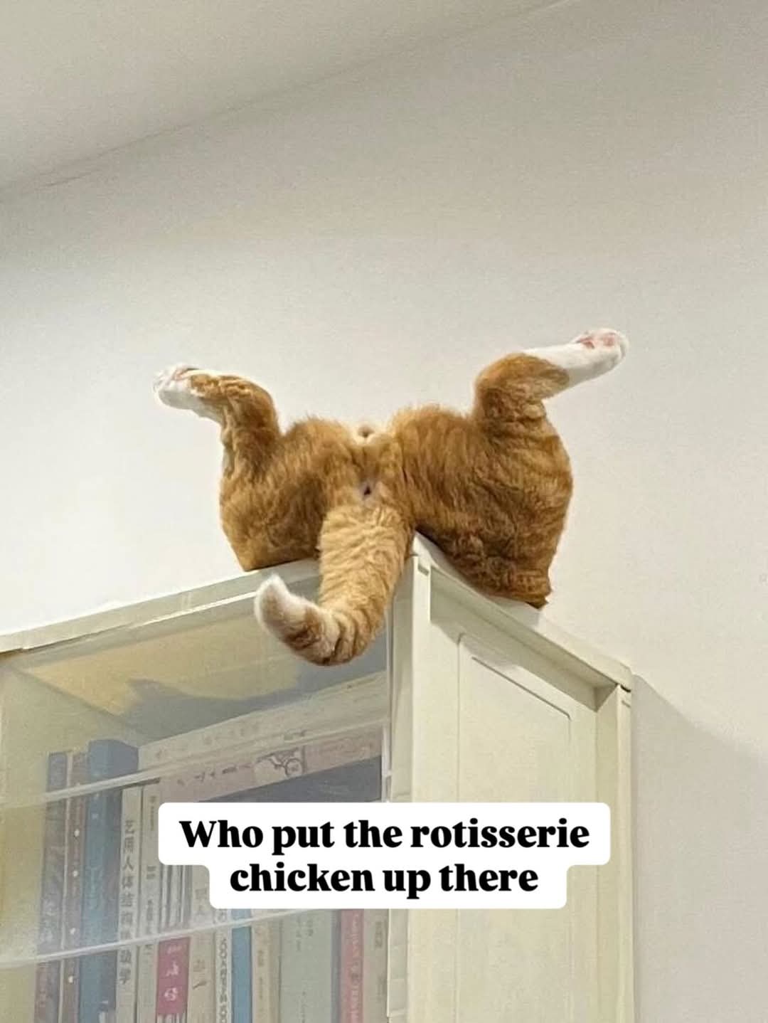1000042795.jpg