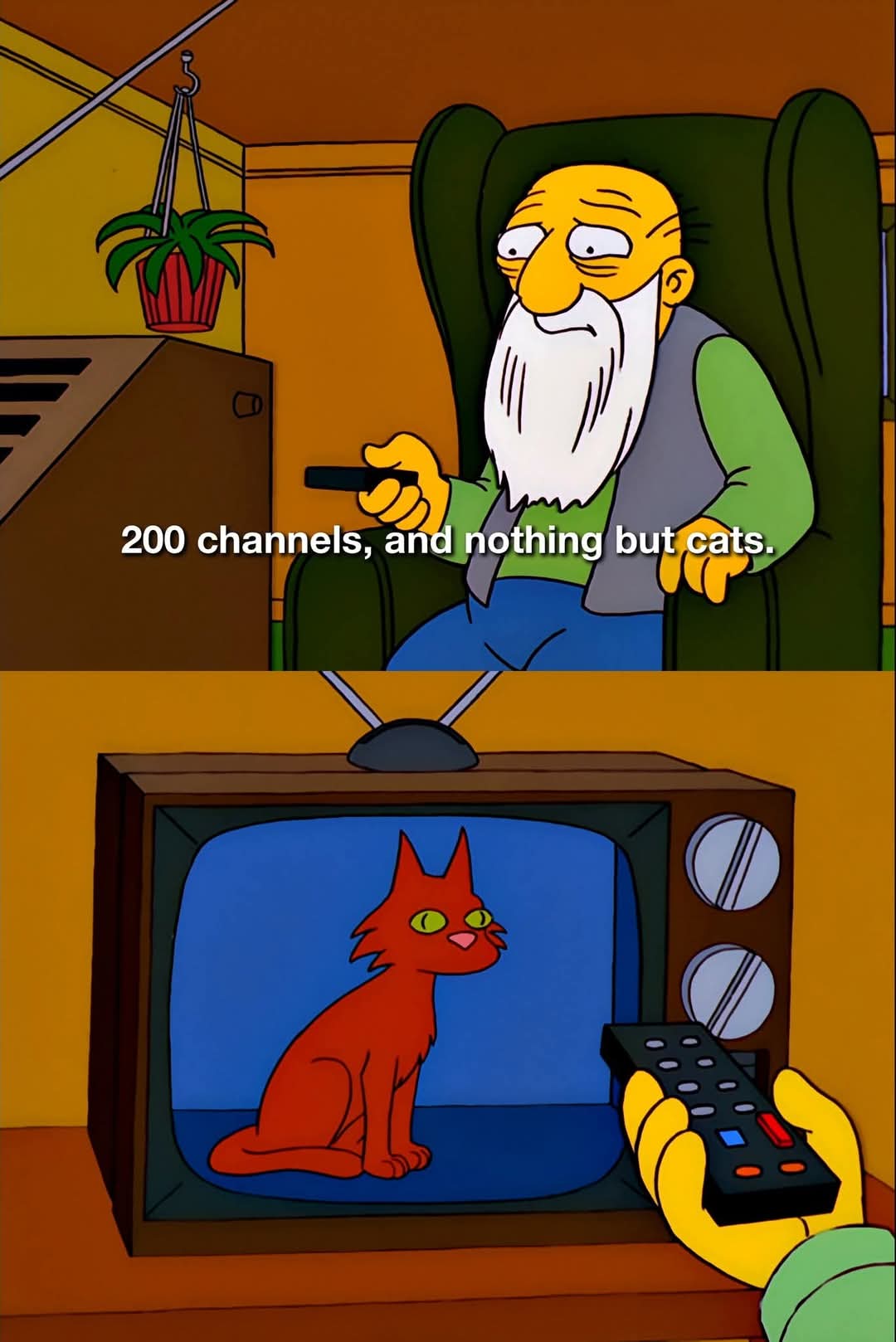 1000042806.jpg