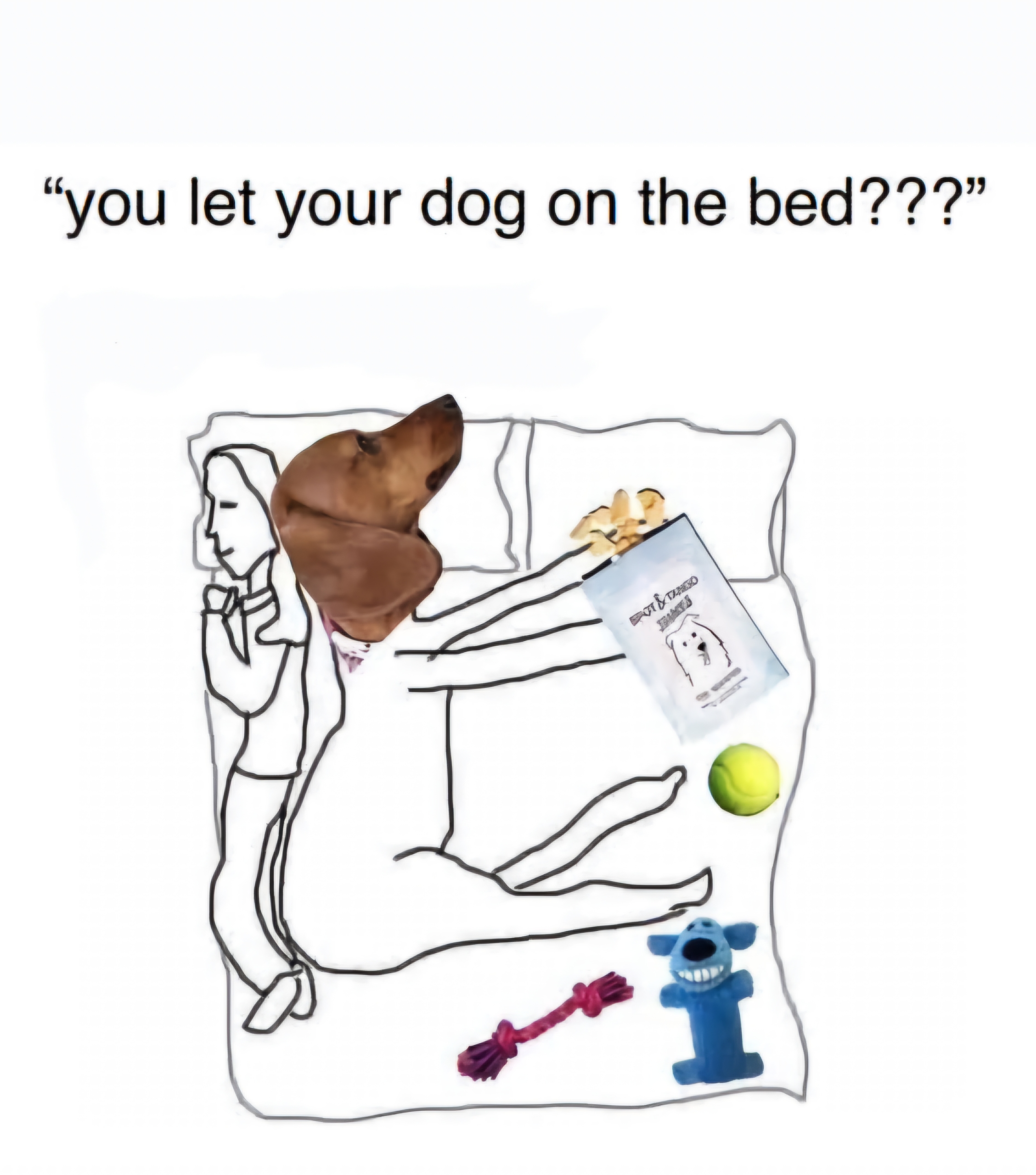 1000043771.jpg