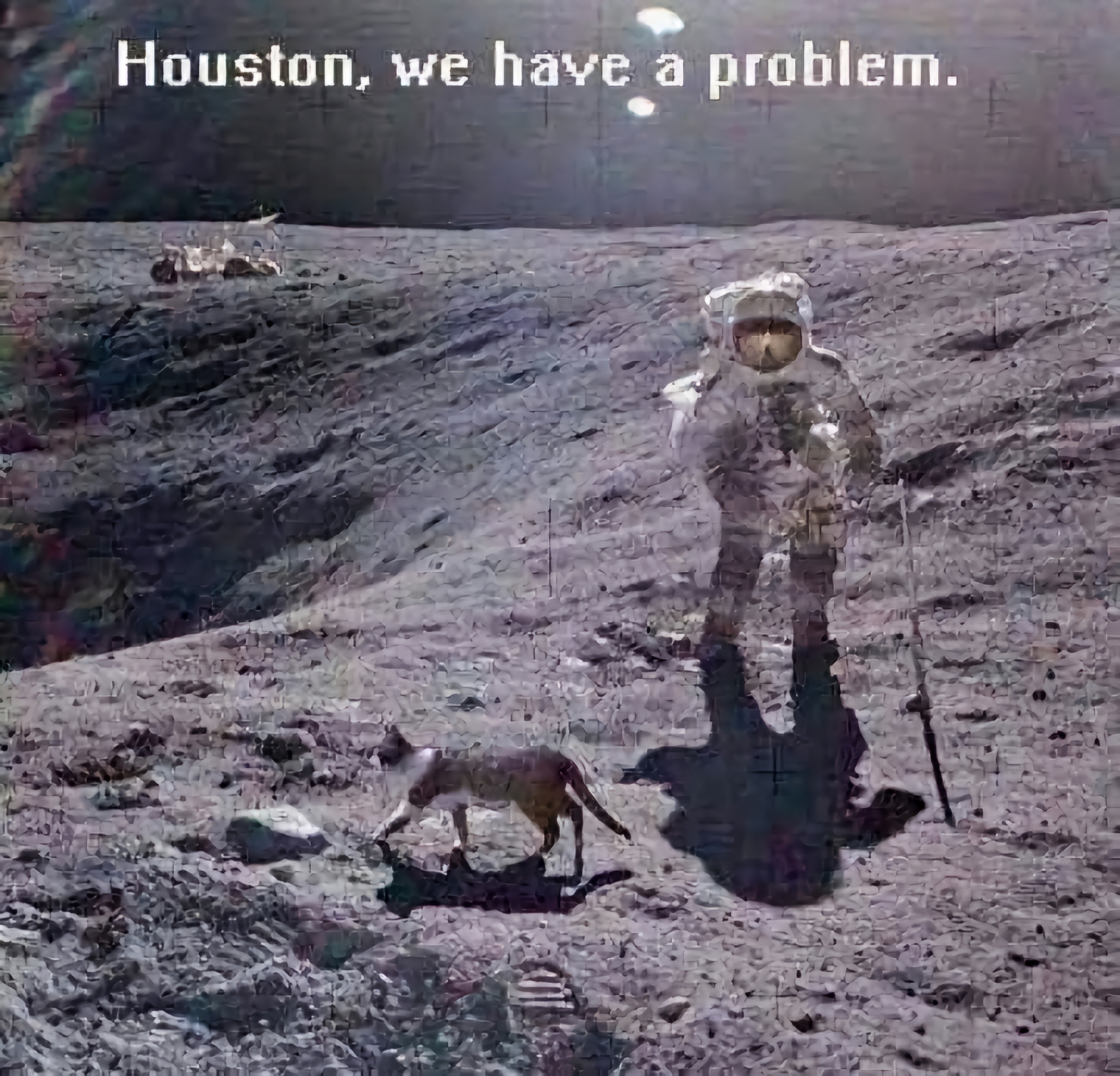1000045446.jpg