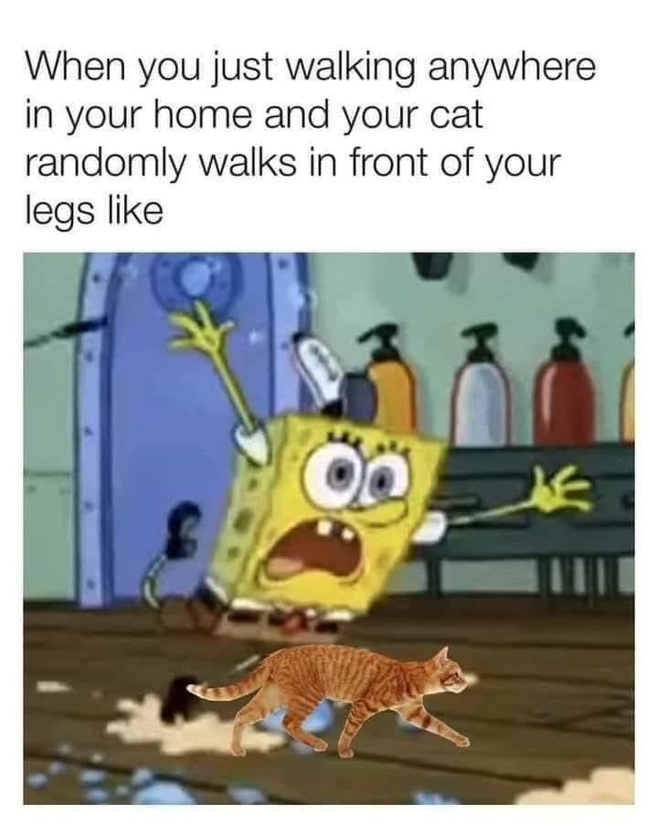 1000046307.jpg