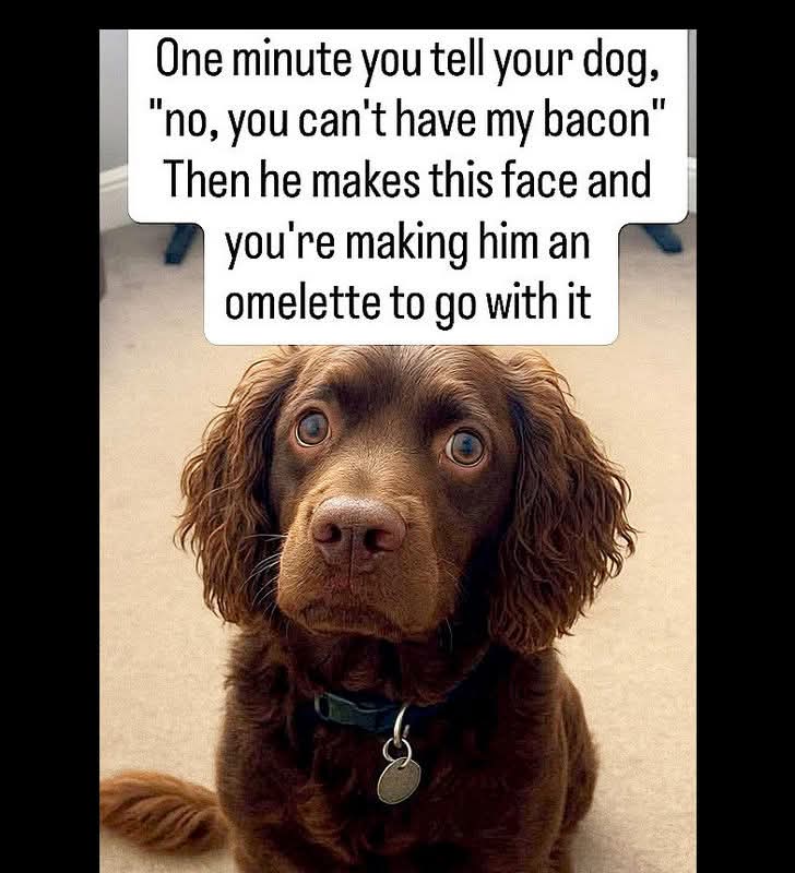 1000046660.jpg