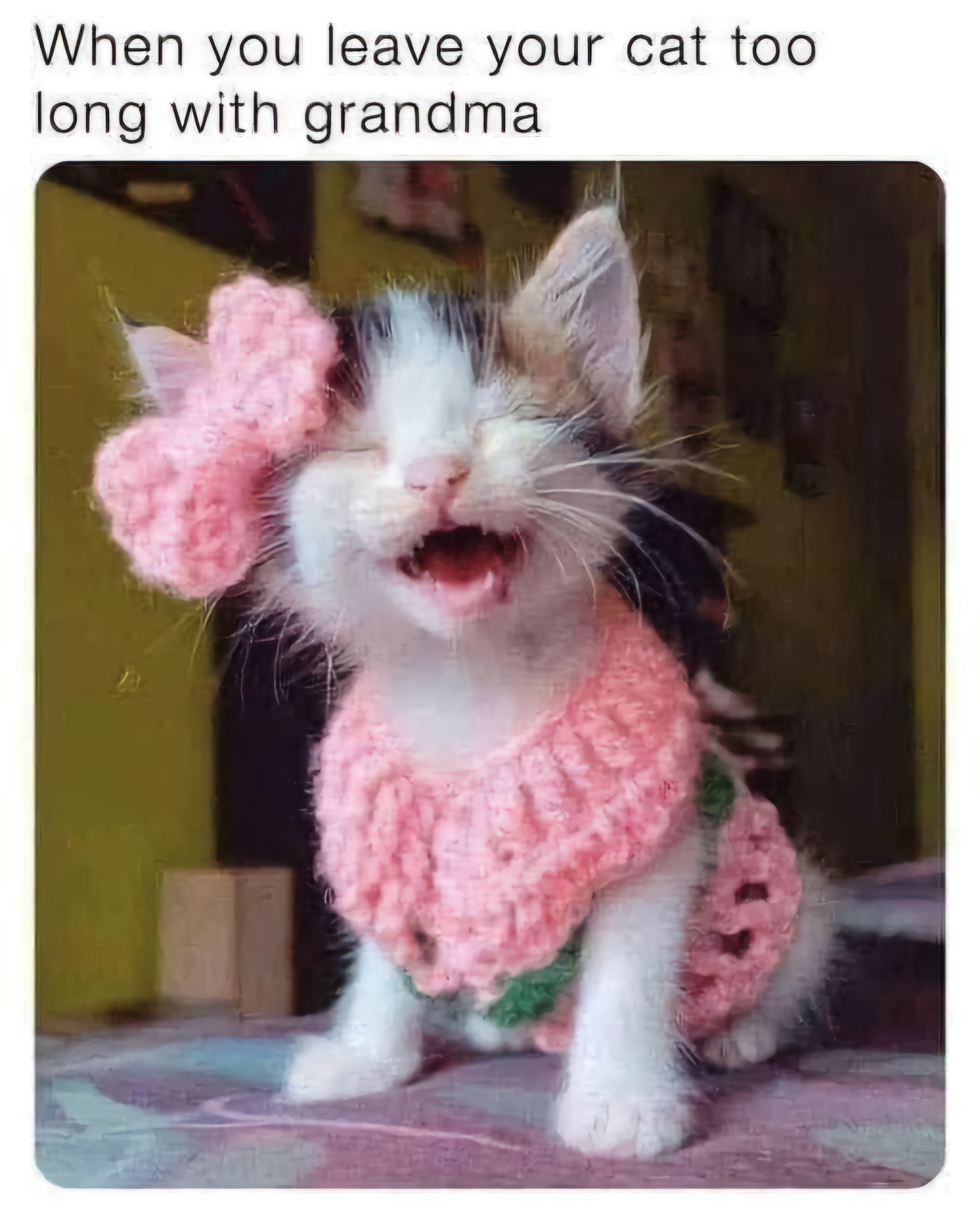 1000048224.jpg