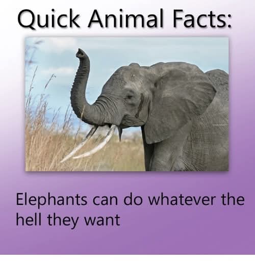 1000049534.jpg