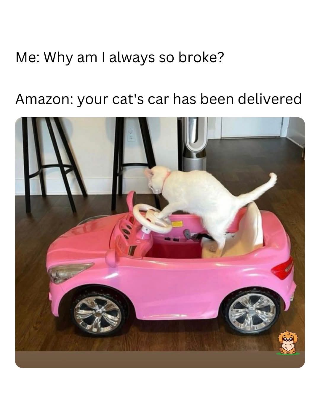 1000051847.jpg