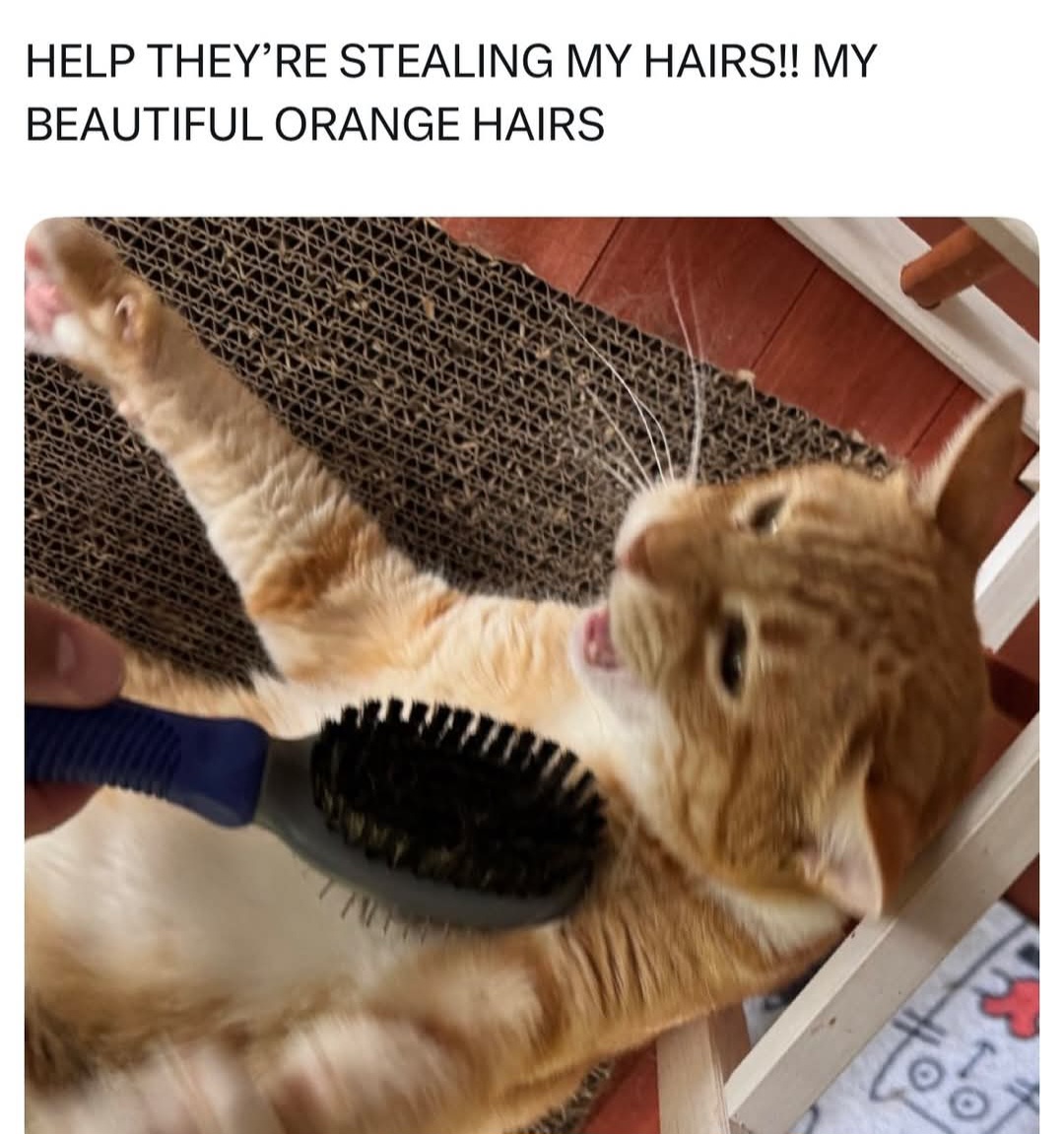 1000052419.jpg