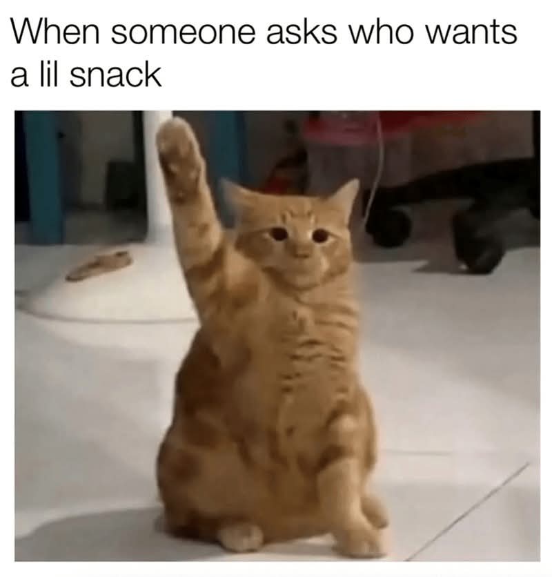 1000052510.jpg