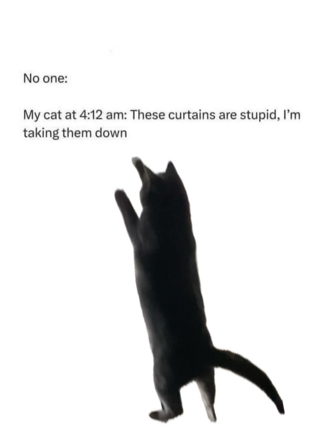 1000052537.jpg