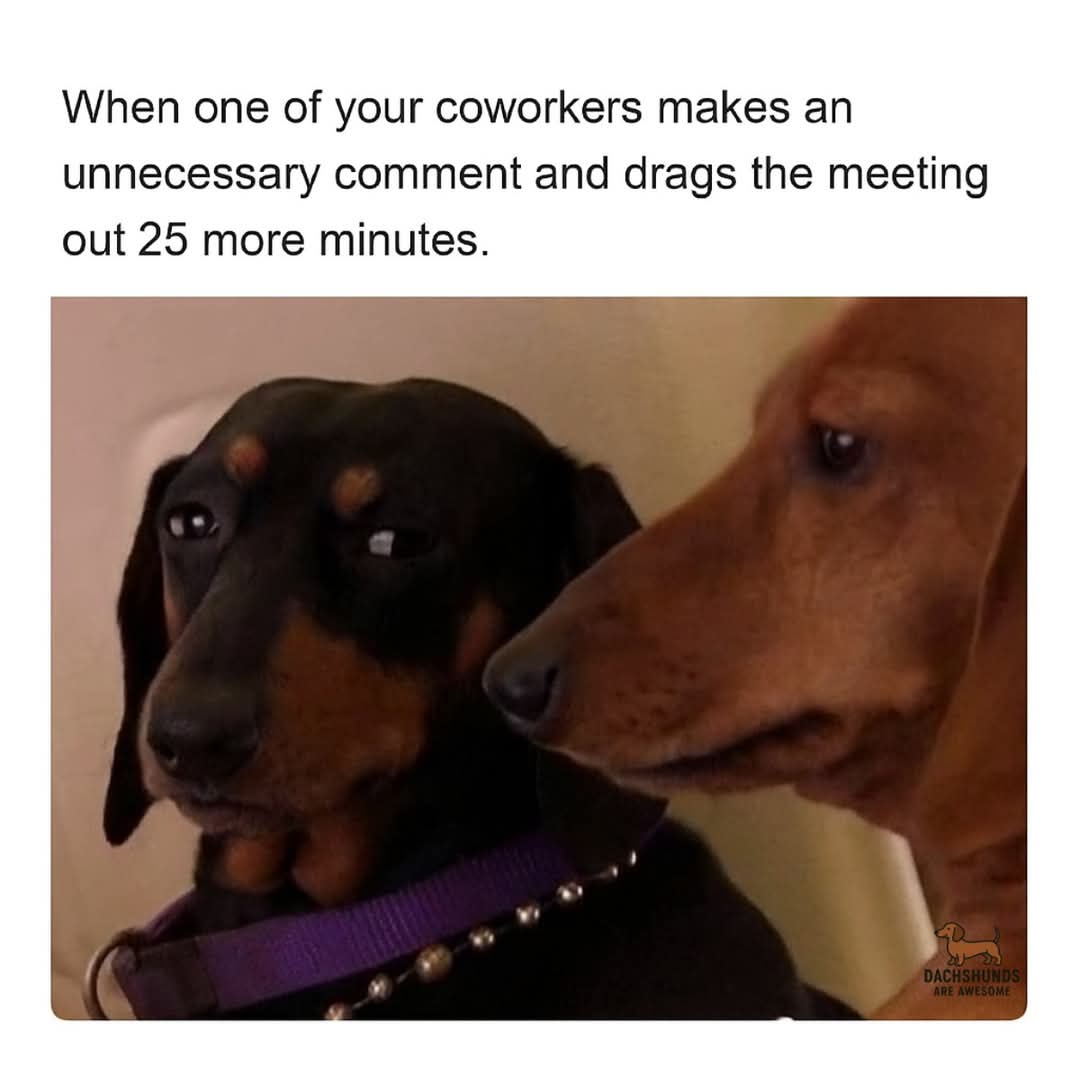 1000053309.jpg